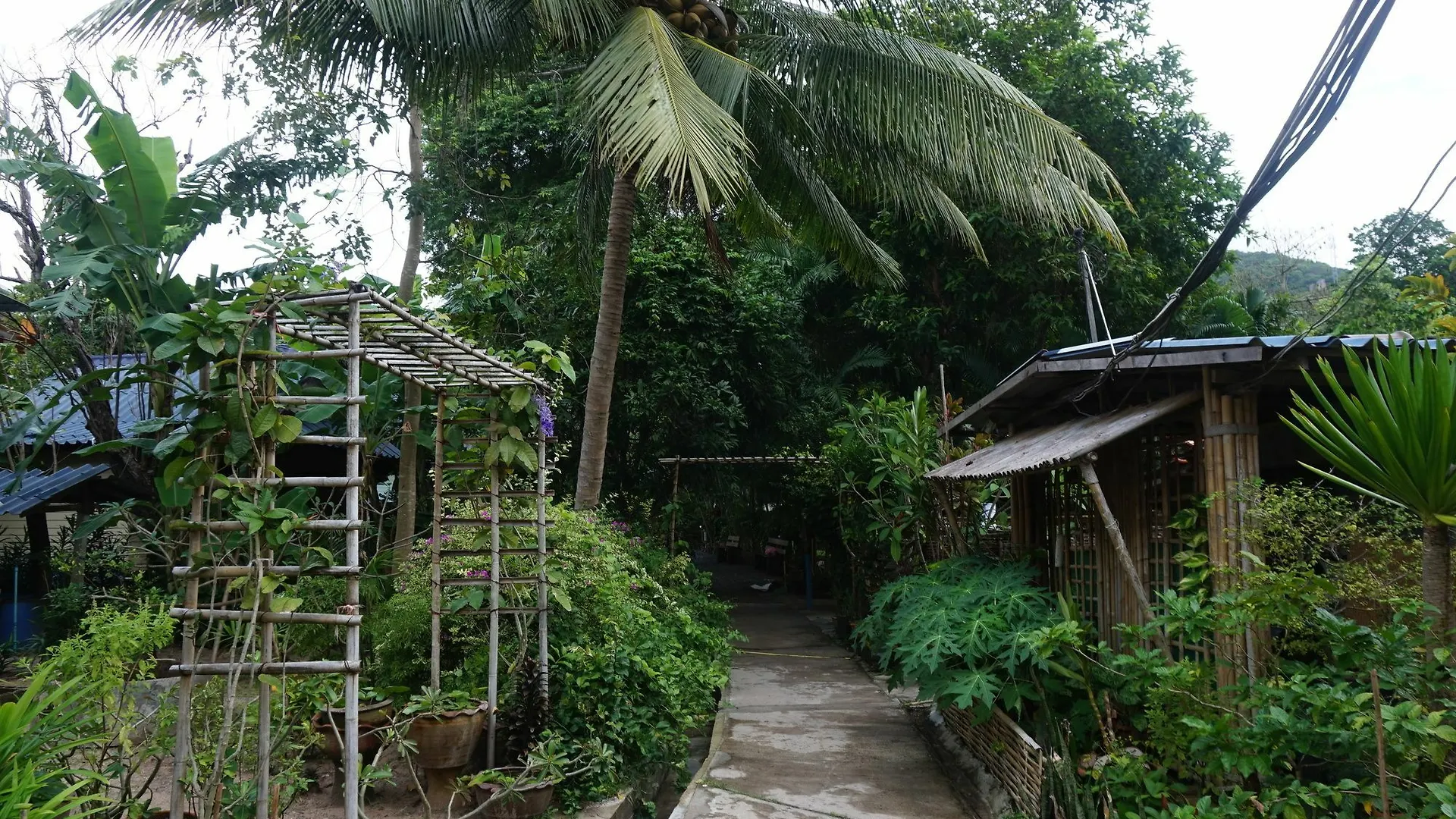 Flower Resort Koh Tao Hotel